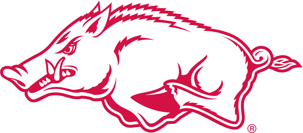 Arkansas Razorbacks 2001-Pres Alternate Logo v2 diy fabric transfer